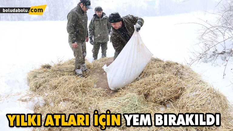 YILKI ATLARI İÇİN YEM BIRAKILDI