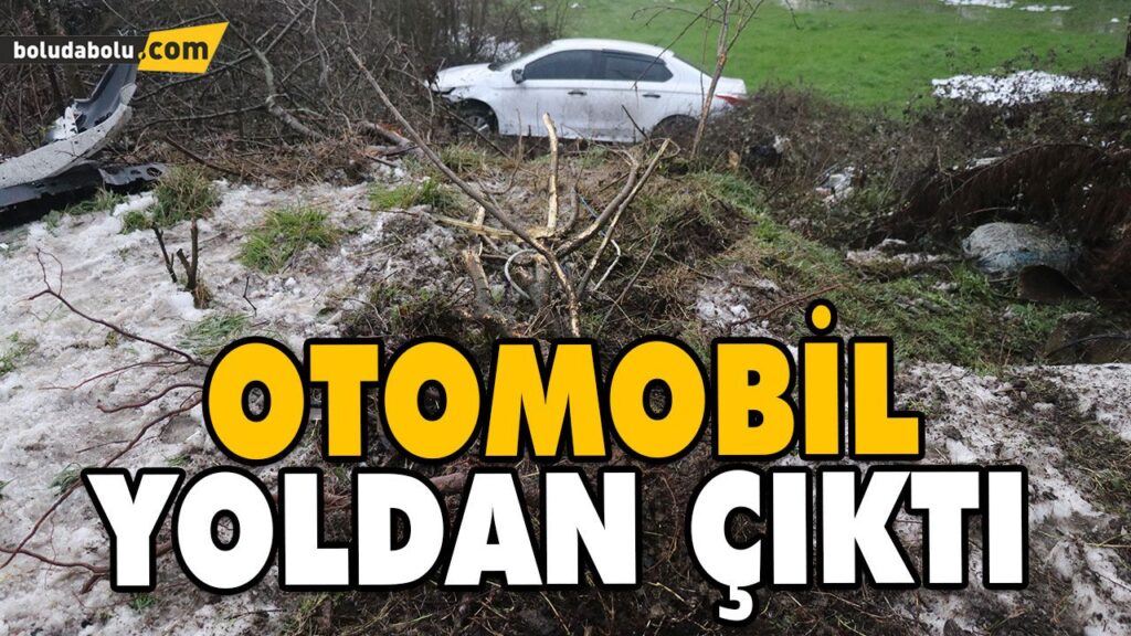OTOMOBİL YOLDAN ÇIKTI: 1 YARALI