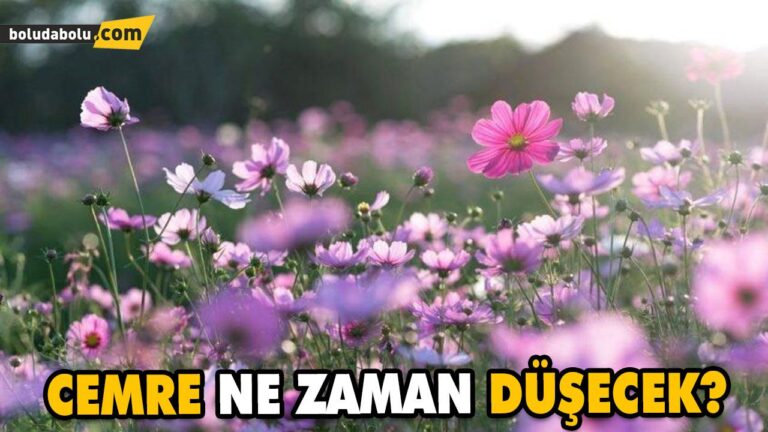 CEMRE NE ZAMAN DÜŞECEK?