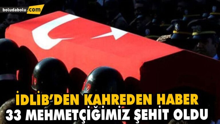 33 MEHMETÇİĞİMİZ ŞEHİT OLDU