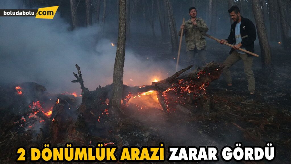 ÇEPNİ KÖYÜNDE ÇIKAN ÖRTÜ YANGINI KONTROL ALTINA ALINDI ÇEPNİ KÖYÜNDE ÇIKAN ÖRTÜ YANGINI KONTROL ALTINA ALINDI