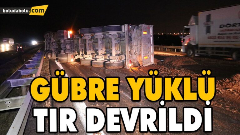 TEM’DE ÖNÜNDEKİ OTOMOBİLE ÇARPAN GÜBRE YÜKLÜ KAMYON DEVRİLDİ