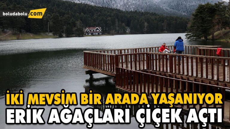ERİK AĞAÇLARI ÇİÇEK AÇTI