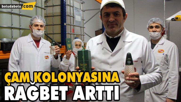 BOLU’NUN ÇAM KOLONYASINA RAĞBET ARTTI