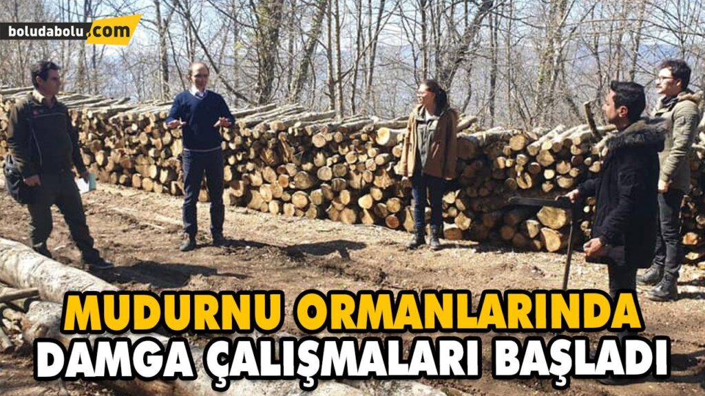 MUDURNU ORMANLARINDA DAMGA ÇALIŞMALARI BAŞLADI MUDURNU ORMANLARINDA DAMGA ÇALIŞMALARI BAŞLADI