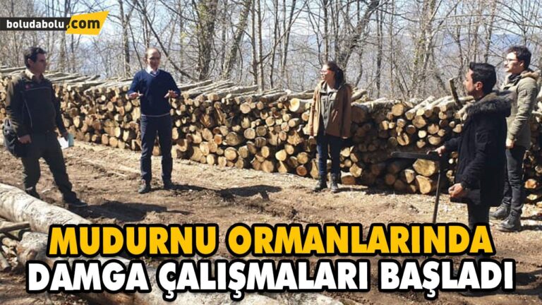 MUDURNU ORMANLARINDA DAMGA ÇALIŞMALARI BAŞLADI