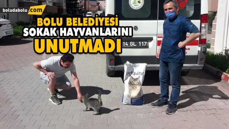 YALNIZ BIRAKMADILAR