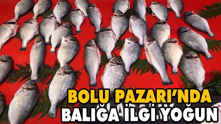 BOLU PAZARI’NDA BALIĞA İLGİ YOĞUN