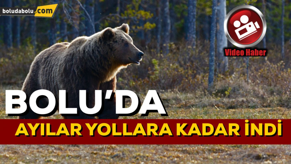 AYILAR YOLLARA KADAR İNDİ