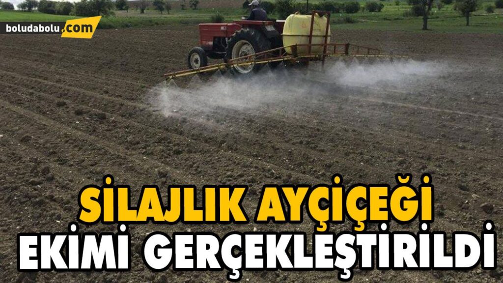 SİLAJLIK AYÇİÇEĞİ EKİMİ GERÇEKLEŞTİRİLDİ SİLAJLIK AYÇİÇEĞİ EKİMİ GERÇEKLEŞTİRİLDİ