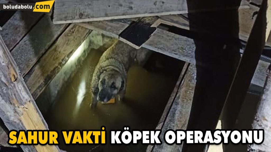 GECE YARISI İTFAİYE SEFERBER OLDU GECE YARISI İTFAİYE SEFERBER OLDU