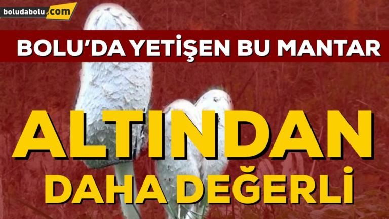 BU MANTAR ALTINDAN DAHA DEĞERLİ