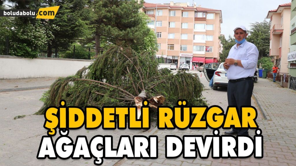 ŞİDDETLİ RÜZGAR AĞAÇLARI DEVİRDİ ŞİDDETLİ RÜZGAR AĞAÇLARI DEVİRDİ