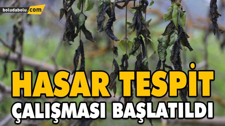 MUDURNU VE GÖYNÜK’TE ZİRAİ DON NEDENİYLE HASAR TESPİT ÇALIŞMASI BAŞLATILDI