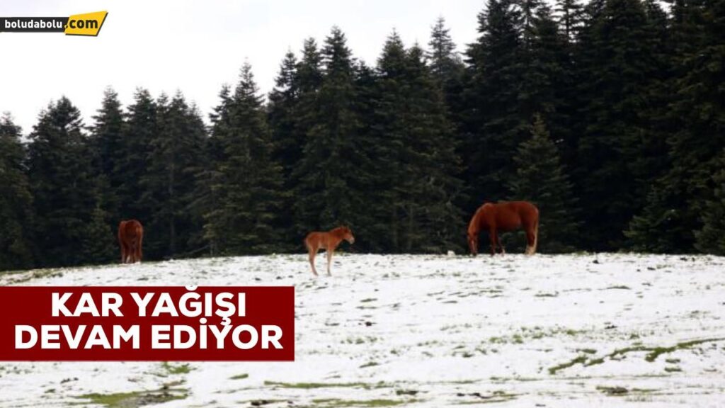BOLU’NUN YÜKSEK KESİMLERİNE KAR YAĞDI BOLU’NUN YÜKSEK KESİMLERİNE KAR YAĞDI