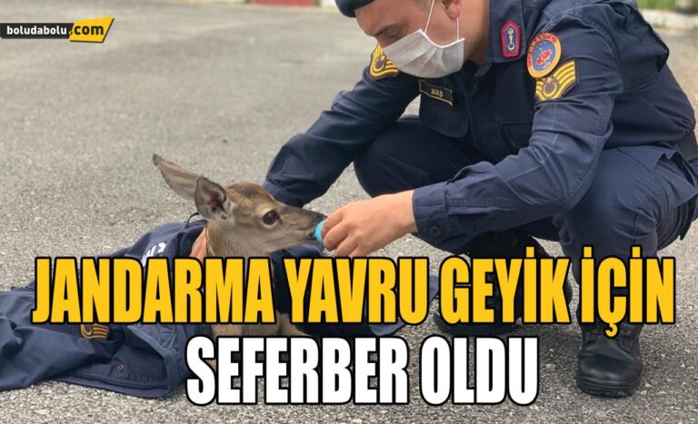 JANDARMA YAVRU GEYİK İÇİN SEFERBER OLDU