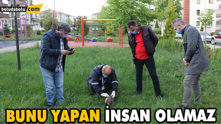 “EN YÜKSEK CEZAYI UYGULAYACAĞIZ”