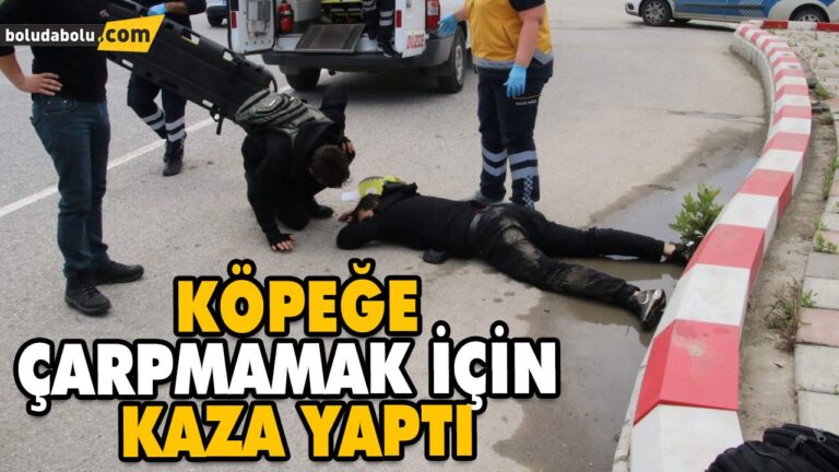 KÖPEĞE ÇARPMAMAK İÇİN KAZA YAPTI