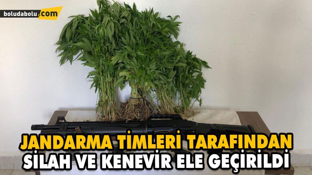 JANDARMA TİMLERİ TARAFINDAN SİLAH VE KENEVİR ELE GEÇİRİLDİ JANDARMA TİMLERİ TARAFINDAN SİLAH VE KENEVİR ELE GEÇİRİLDİ