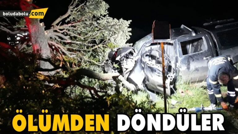 Ağaca çarpan kamyonetteki 4 kişi yaralandı