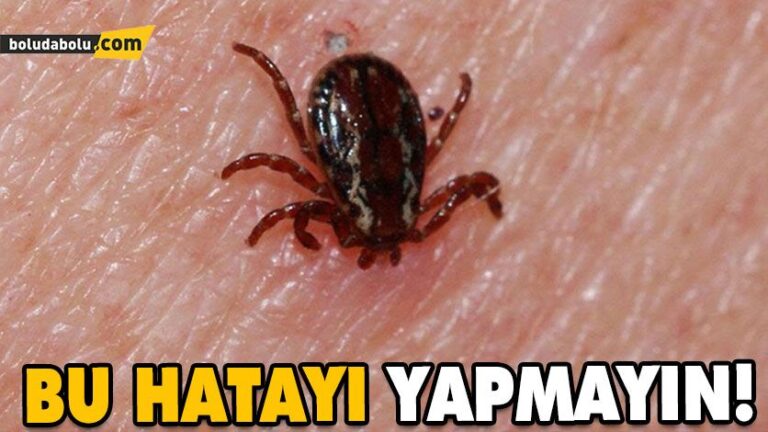 Kene tutunmasında “sigara basıp kolonya dökmeyin” uyarısı