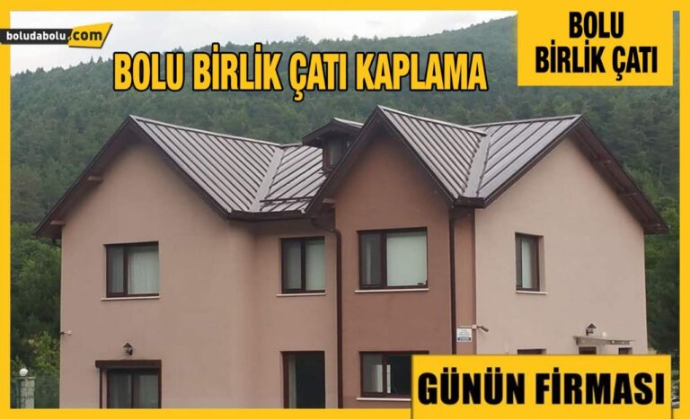 Günün Firması Bolu Birlik Çatı