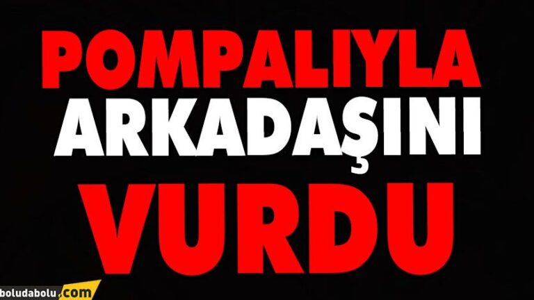 Pompalı tüfekle arkadaşını vurdu