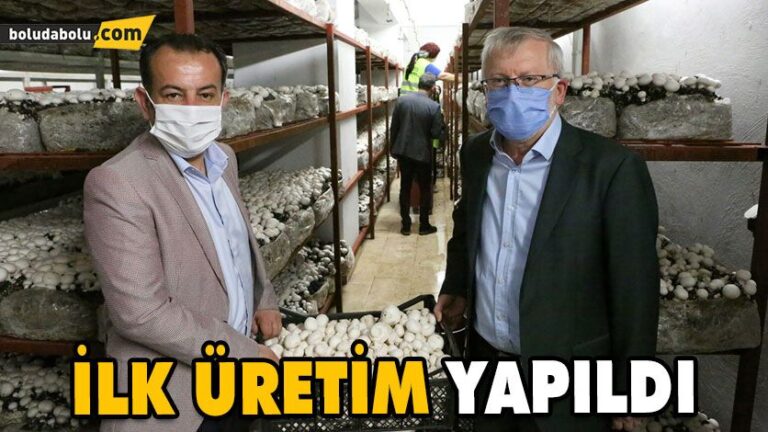 BOLU BELEDİYESİ’NDEN ÜRETİCİLERE YENİ GELİR KAPISI