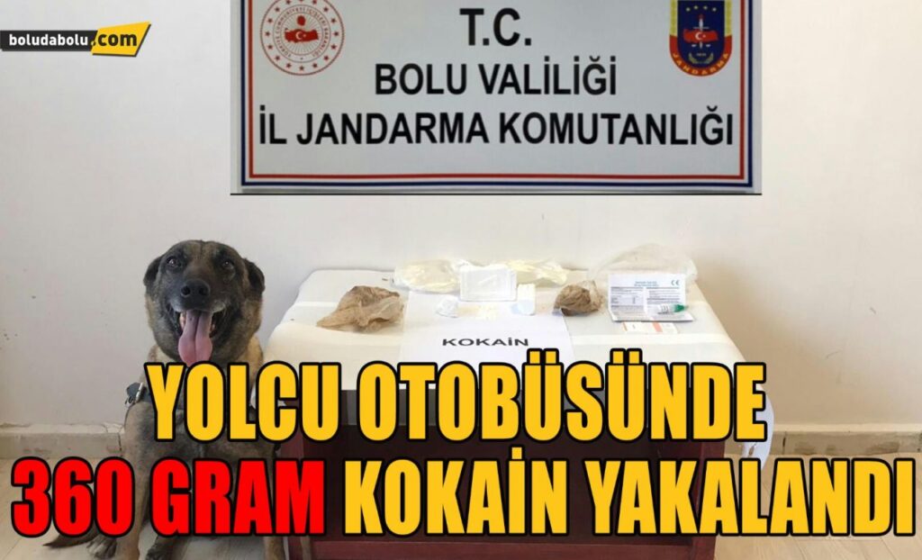 Yolcu otobüsünde 360 gram kokain yakalandı Yolcu otobüsünde 360 gram kokain yakalandı