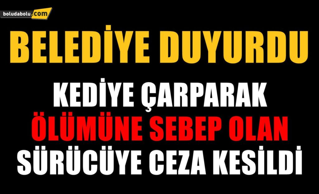 Kediye çarpan sürücüye 2 bin TL ceza kesildi Kediye çarpan sürücüye 2 bin TL ceza kesildi