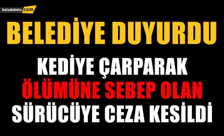 Kediye çarpan sürücüye 2 bin TL ceza kesildi
