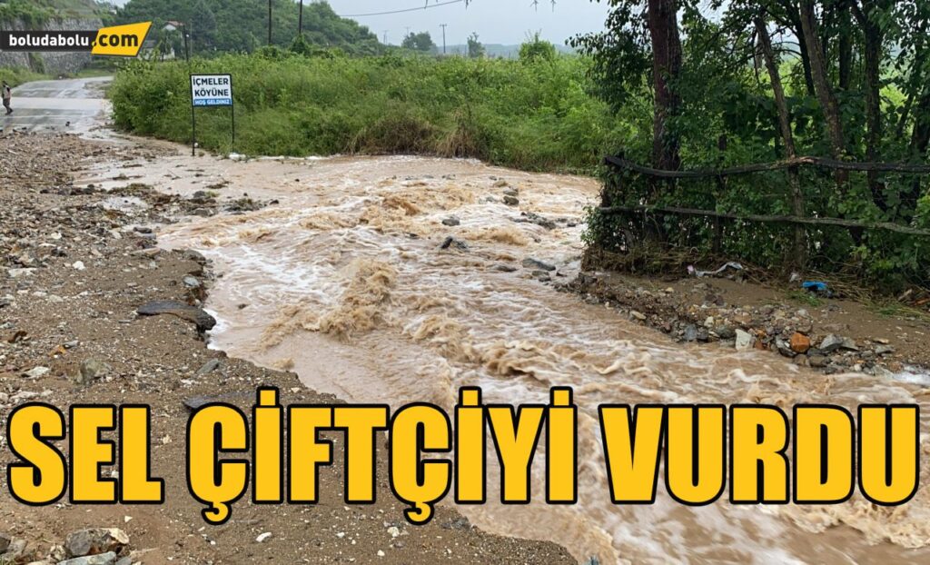 Düzce’de sel çiftçiyi vurdu Düzce’de sel çiftçiyi vurdu