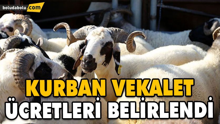 Vekalet yoluyla kurban kesim bedelleri açıklandı
