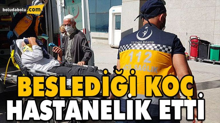 KOÇLA KAFA TOKUŞTURUP HASTANELİK OLDU