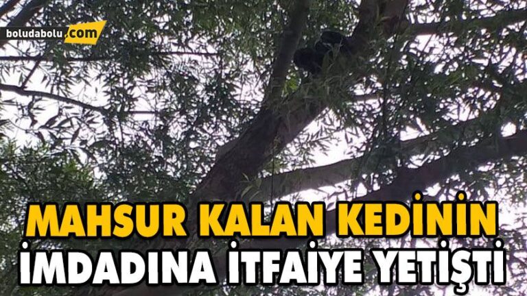 Yavru Kediyi İtfaiye Kurtardı
