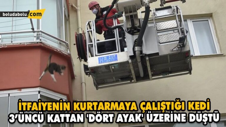 Balkonun dışında mahsur kalan kedi, kurtarıldığı anda kaçarak 9 metreden yere düştü