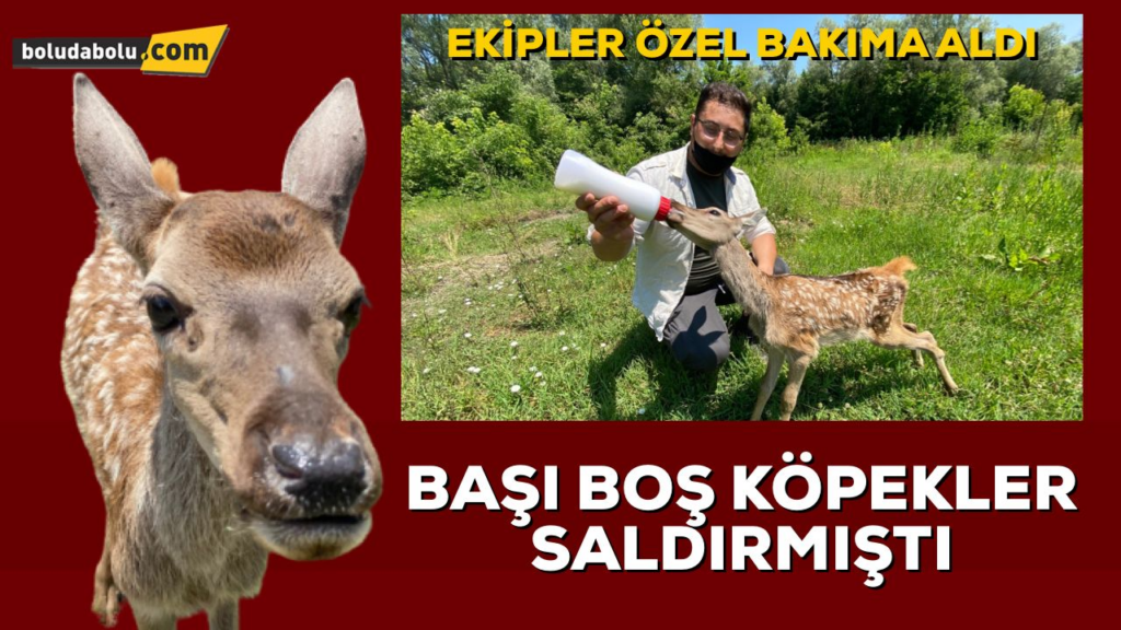 Ekipler özel bakıma aldı Ekipler özel bakıma aldı