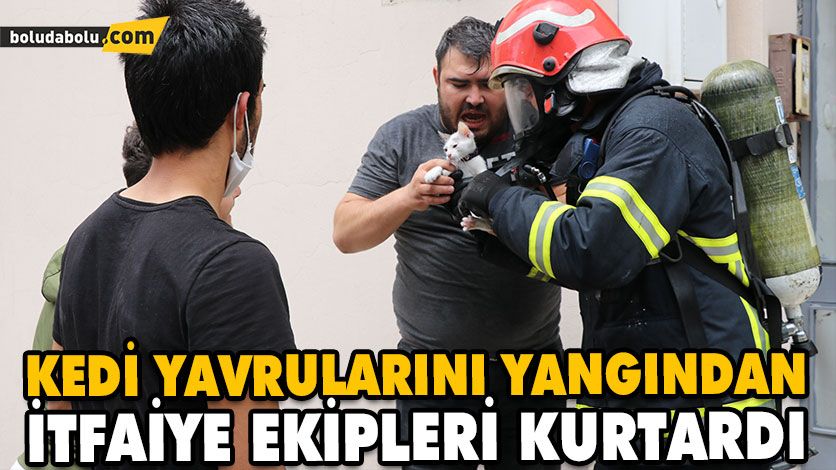 KEDİ YAVRULARINI YANGINDAN İTFAİYE EKİPLERİ KURTARDI KEDİ YAVRULARINI YANGINDAN İTFAİYE EKİPLERİ KURTARDI