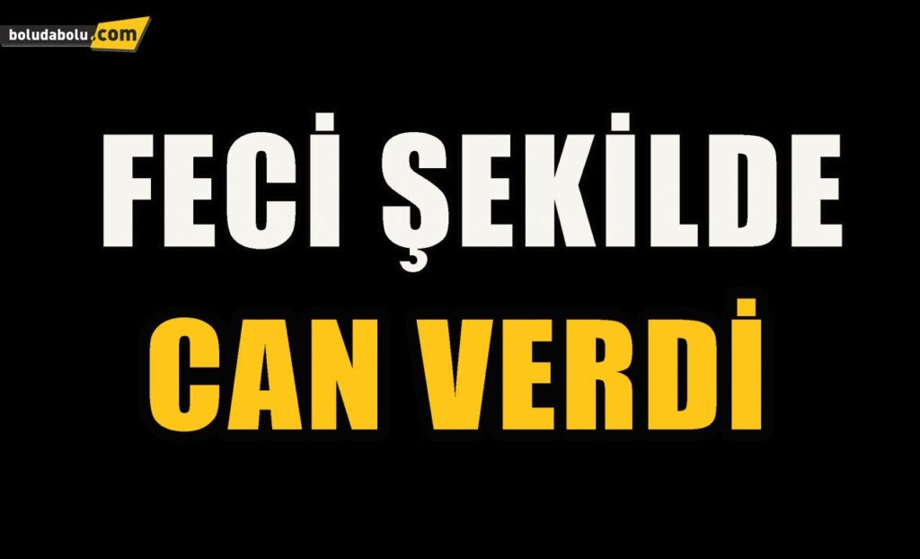 Düzce’de feci kaza Düzce’de feci kaza