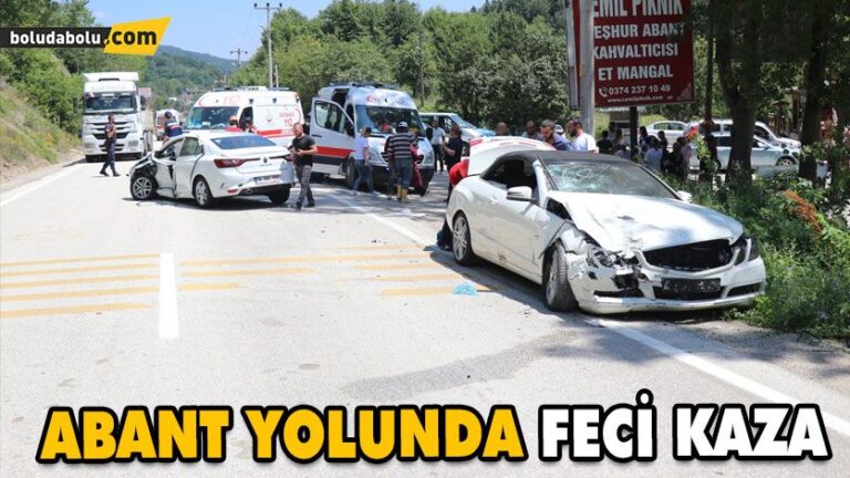 ABANT YOLUNDA CAN PAZARI
