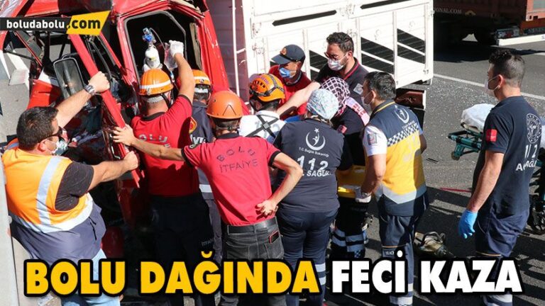 Anadolu Otoyolu’nda kaza yapan kamyonun sürücüsü ağır yaralandı
