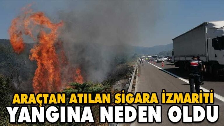 ARAÇTAN ATILAN SİGARA İZMARİTİ YANGINA NEDEN OLDU