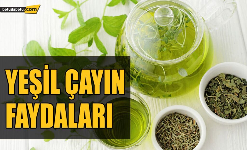 YEŞİL ÇAYIN FAYDALARI YEŞİL ÇAYIN FAYDALARI