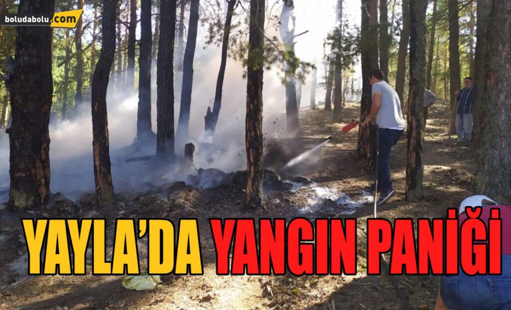 YAYLA’DA YANGIN PANİĞİ YAYLA’DA YANGIN PANİĞİ