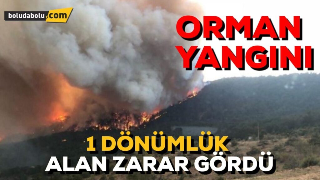 Bolu’da, orman yangınında 1 dönümlük alan zarar gördü Bolu’da, orman yangınında 1 dönümlük alan zarar gördü