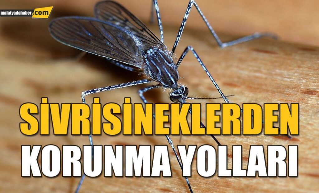 SİVRİSİNEKLERDEN KORUNMA YOLLARI SİVRİSİNEKLERDEN KORUNMA YOLLARI