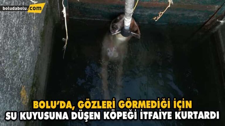 BOLU’DA, GÖZLERİ GÖRMEDİĞİ İÇİN SU KUYUSUNA DÜŞEN KÖPEĞİ İTFAİYE KURTARDI