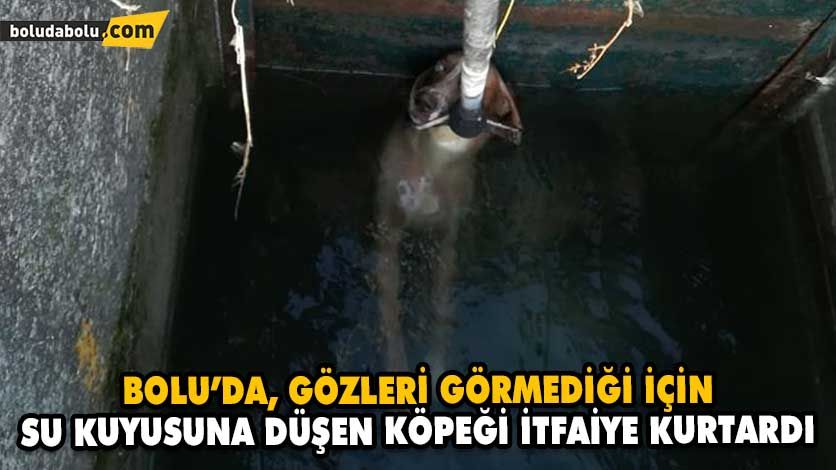 BOLU’DA, GÖZLERİ GÖRMEDİĞİ İÇİN SU KUYUSUNA DÜŞEN KÖPEĞİ İTFAİYE KURTARDI BOLU’DA, GÖZLERİ GÖRMEDİĞİ İÇİN SU KUYUSUNA DÜŞEN KÖPEĞİ İTFAİYE KURTARDI