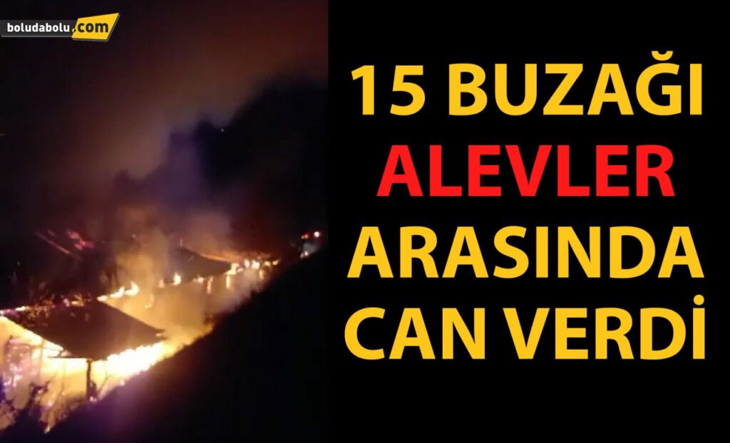 15 buzağı alevler arasında can verdi 15 buzağı alevler arasında can verdi
