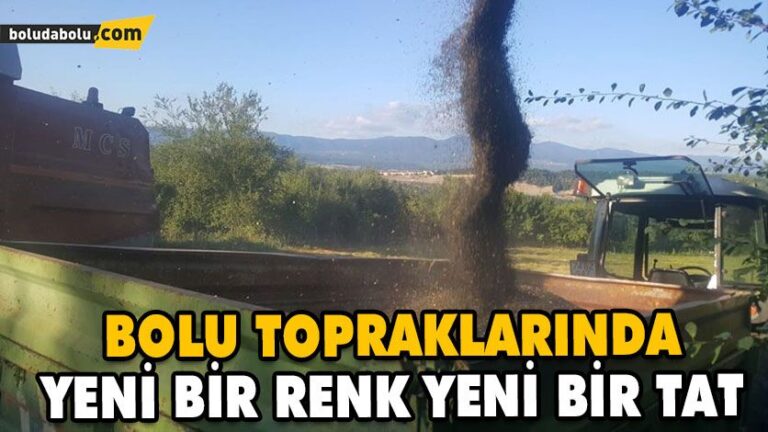 BOLU TOPRAKLARINDA YENİ BİR RENK YENİ BİR TAT